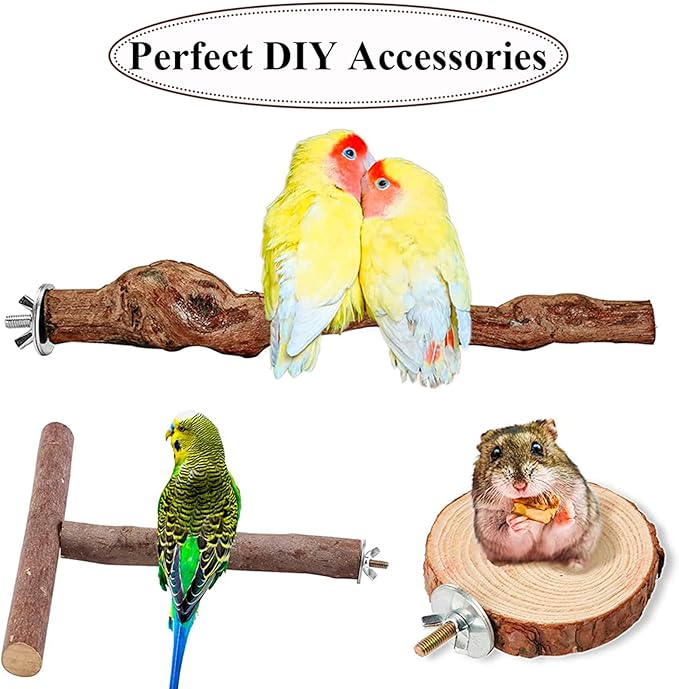 12 Sets Bird Cage Screws Bird Perch Stand Platform Accessories 24 Washers 12 Screws 12 Wing Nuts Hardware for Fixing Bird Playground Perch Food Bowls Feeder Breeding Box