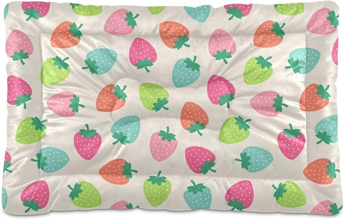 Pet Bed Strawberry Fruits Dog Bed Mat Absorbing Non Slip Pad Pet Sleeping Mat for Small, Medium, and Large Dogs Puppy Cat 36 in x 24 in