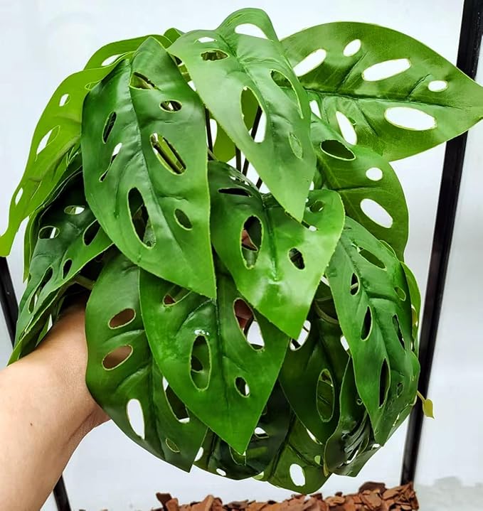 Reptile Plants for Terrarium Decor,Amphibian Habitat Decor, Bearded Dragon Tank Accessories,Artificial Plants for Gecko Chameleon Snake Tortoise with Base (Swiss Cheese)
