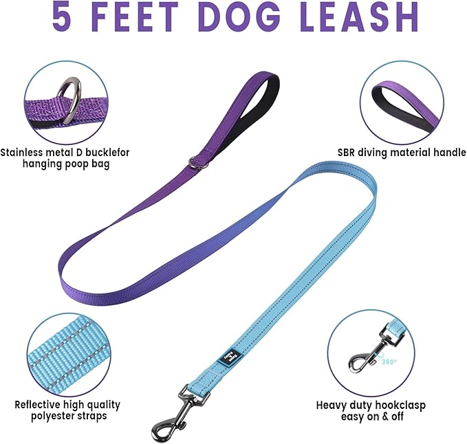 Roses&Poetry Small Dog Harness and Leash Set, No Pull Dog Harness Adjustable Reflective, Dog Halter Harnesses Comfort Padded Handle, Pet Harness for Training Outdoor Walking（Gsky-S