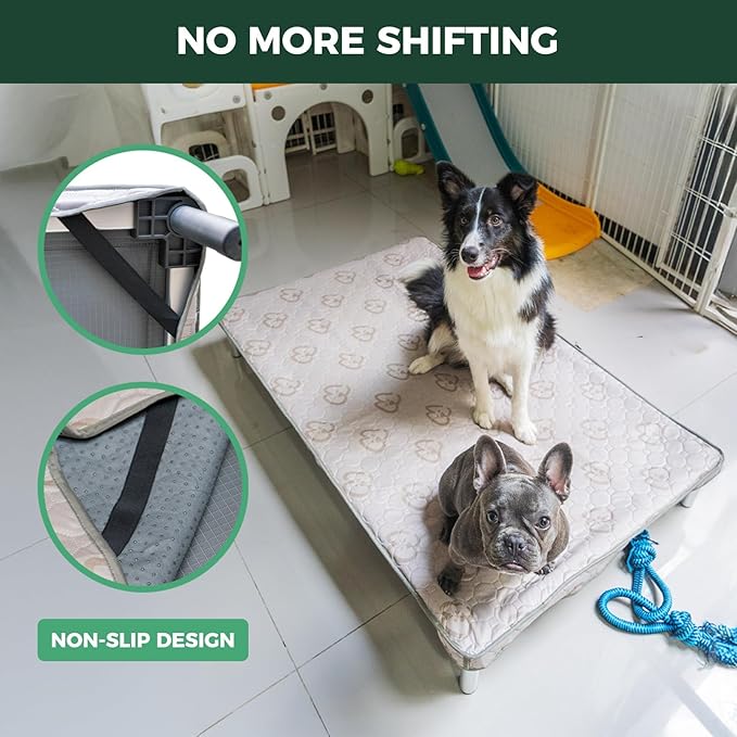 FXW TitanNest Chew-Proof Elevated Dog Bed, Raised Cot for Indoor/Outdoor/Camping Use, Durable & Waterproof Cooling Pet Bed with Exclusive Cover for Medium Dogs, 41.0" L x 27.0" W x 5.0" H, Black
