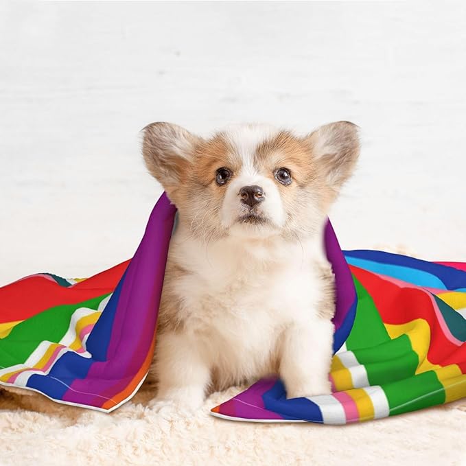 Pet Blanket for Couches and Beds, Novel Colorful Mexican Blanket Stripes, Reversible Double Sided Plush Design with Soft Bumpy Texture and Smooth Surface, Furniture Protector