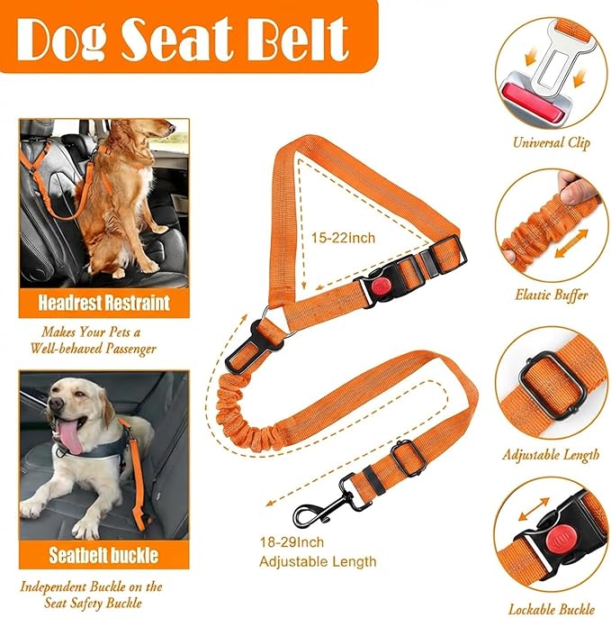 No Pull Dog Harness, Collar & Leash Set | Includes Dog Seat Belt, Collapsible Bowls & Poop Bag Dispenser. Ideal for Training, Walking, Hiking. Fits Small to Large Dogs(Orange-M)