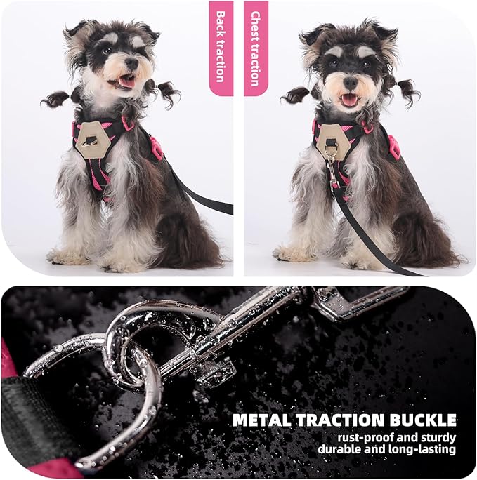 Small Dog Harness and Leash Set, Breathable Mesh Puppy Harness, Adjustable Dog Harness for Small Medium Large Dogs, No-Pull Pet Harness for Daily Walking (Hotpink, Small)