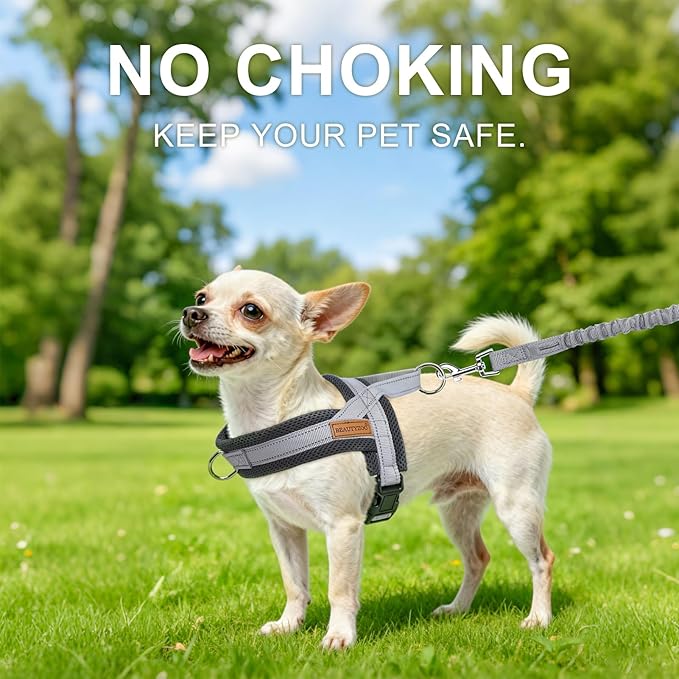 BEAUTYZOO Dog Harness for Small Dogs, No Pull Dog Harness and Leash Set, Soft Escape Proof Puppy Vest Harness with Handle, Reflective Lightweight Step in Harness for Girl Boy Dogs, Grey S