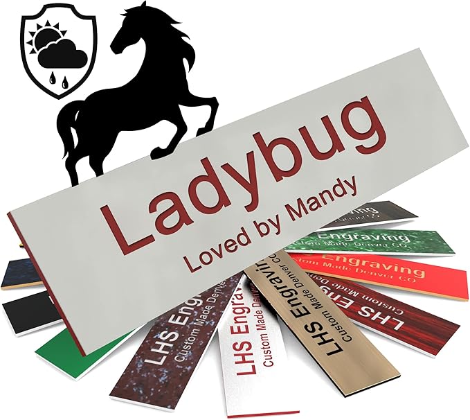 Horse Stall Name Plate, 2x10 Personalized Stall Signs, UV Protected, All Weather Adhesive, Hanging, Mounting or Other, Gray Plastic with Maroon Letters - Made in USA - B21