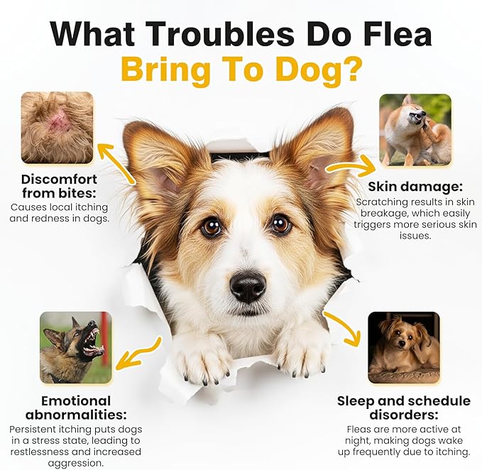 Dog Flea and Tick Treatment Chewable with Calming Supplements 200 Count Oral Fleas Ticks Chewables Support Suitable for All Breeds Ages Reduces Anxiety, Itch, and Sleep Support - Chicken Flavor