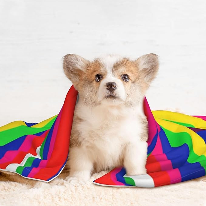 Reversible Plush Dot Pet Blanket for Dogs and Cats, Novel Colorful Mexican Blanket Stripes, Ultra Soft Two Sided Design with Warm Fuzzy Side and Smooth Side for Comfort