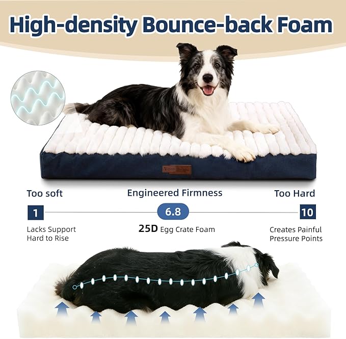 Orthopedic Dog Bed with Firm High-Density Egg Crate Foam, Soft Short Plush Surface Pet Beds,Machine Washable with Removable Cover & Non-Slip Bottom for Medium Breeds (Blue, 29" L x 18" W x 3" H)