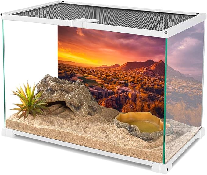 AWERT 60x24 inches Sun and Desert Terrarium Background Mountain Oasis Gobi Reptile Habitat Background Vinyl