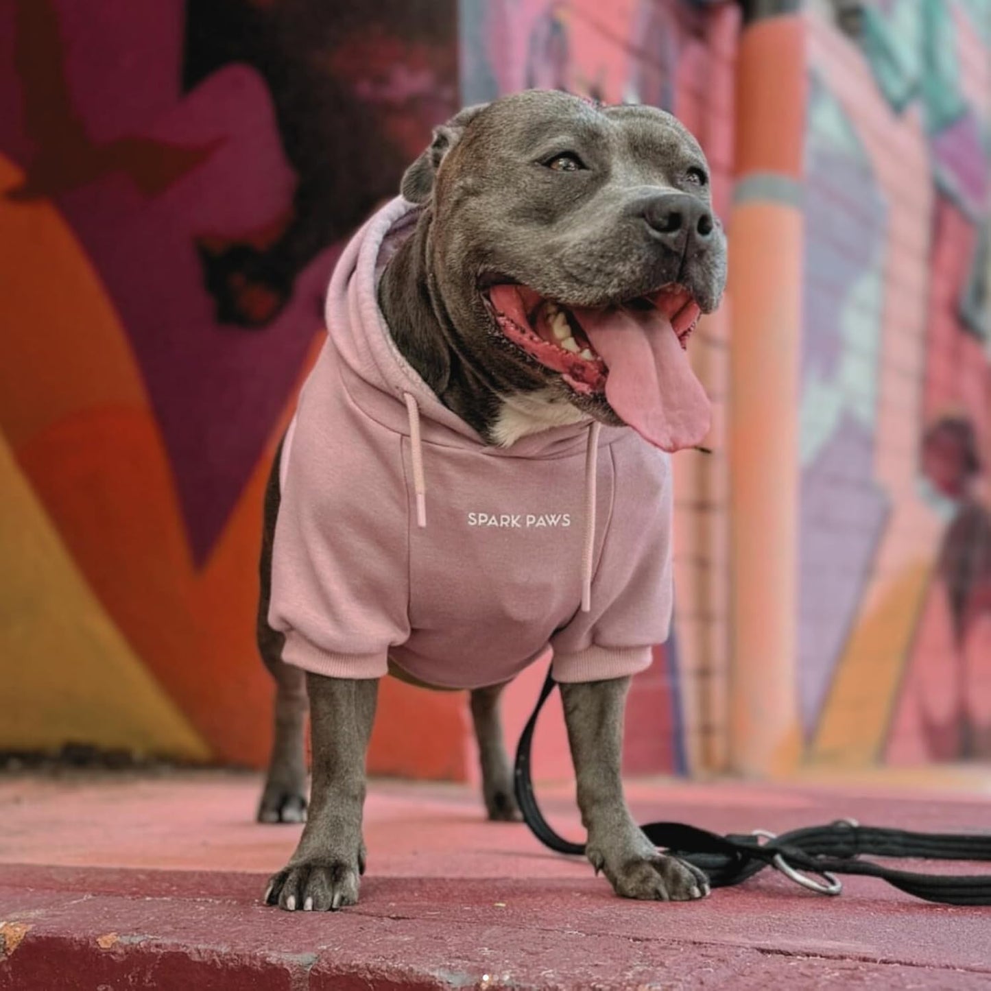 Spark Paws Dog Hoodie – Premium Dog Sweater for Small, Medium, and Large Dogs | Warm Outfits for French Bulldogs, Pitbull, Puppy, Winter Jacket Alternative - Dusty Pink - M