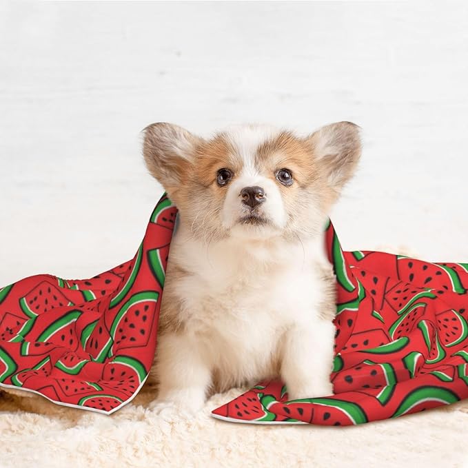 Reversible Dog Blanket for Beds Couches, Summer Fruit Red Green Watermelon, Double Sided Cat Blanket with Textured Dot Feel and Smooth Feel for Seasonal Comfort All Year