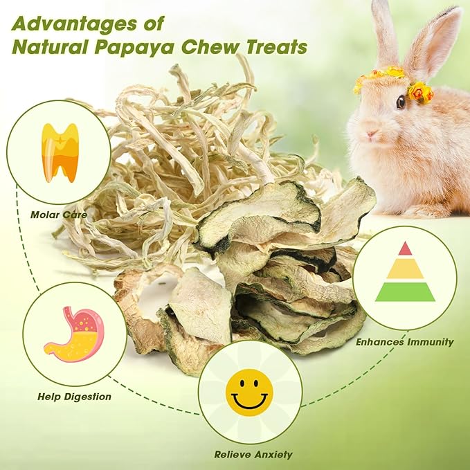 Abizoo Rabbits Chew Treats Natural Papaya Chew Toys for Bunny – Healthy, Tasty Snack for Guinea Pig Rabbit Chinchilla, Supports Digestion and Dental Care