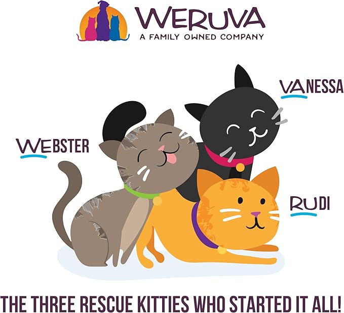 Weruva Cats in The Kitchen, Kitty Gone Wild Wet Cat Food, 10oz Can (Pack of 12)
