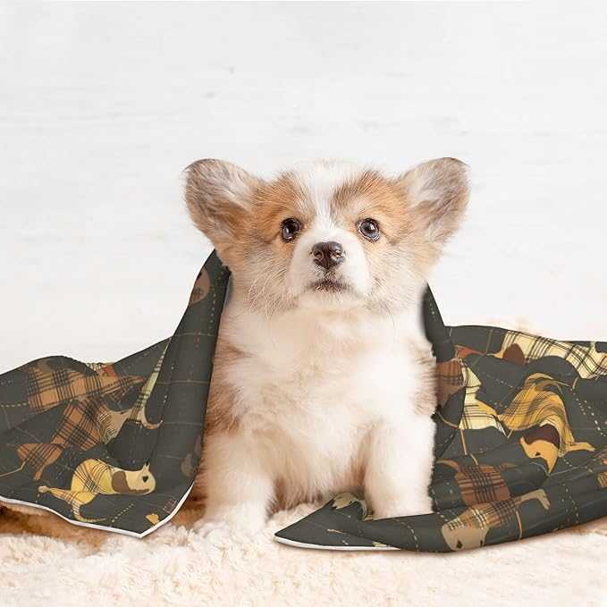 Waterproof Dog Blanket Soft Pet Blanket for Puppy Cat, Fleece Cat Throw Blankets for Furniture Bed Couch Sofa Reversible - Plaid Dachshund 3