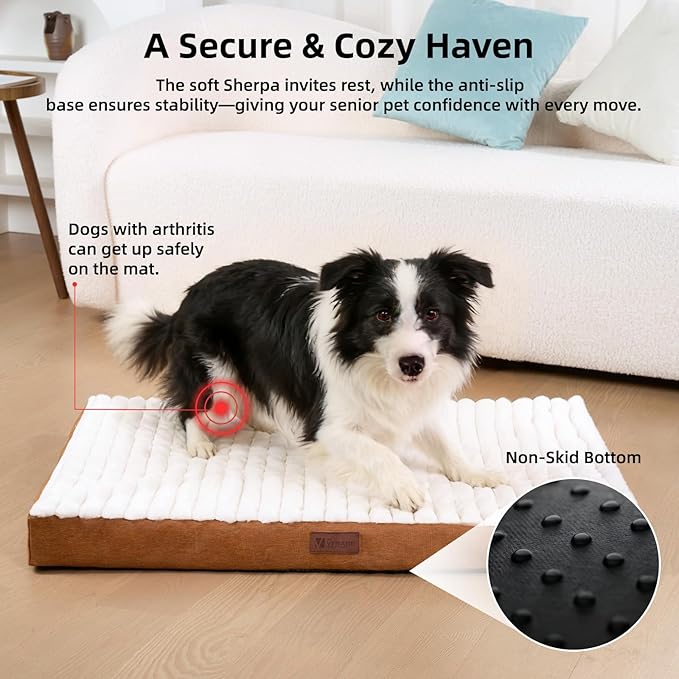Orthopedic Dog Bed with Firm High-Density Egg Crate Foam,Soft Short Plush Surface Pet Beds,Machine Washable with Removable Cover & Non-Slip Bottom for Medium & Large Breeds (Brown, 35"L x 22"W x 3"H)