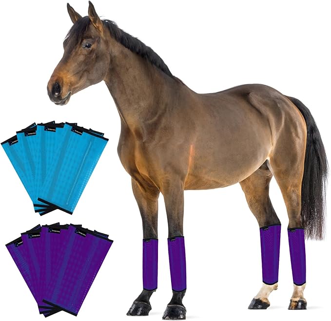 FOXLVDA Horse Fly Boots - Fly Boots for Horses Set of 8, Comfortable Horse Leggings, Mesh Material Design with Metal Support Bars for Reduces Stomping & Leg Fatigue (Blue-Purple, Large)