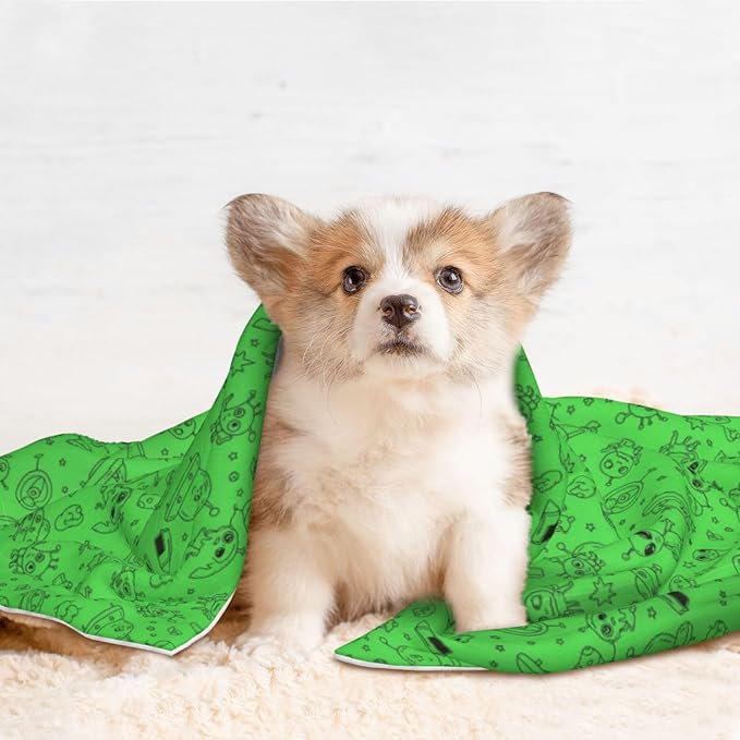 Two Sided Pet Cuddler Blanket for Anxiety Calming, Funny Aliens Dinosaurs Sasquatch, Reversible Plush Design with Bubble Dot Pattern Provides Familiar Surface Anywhere