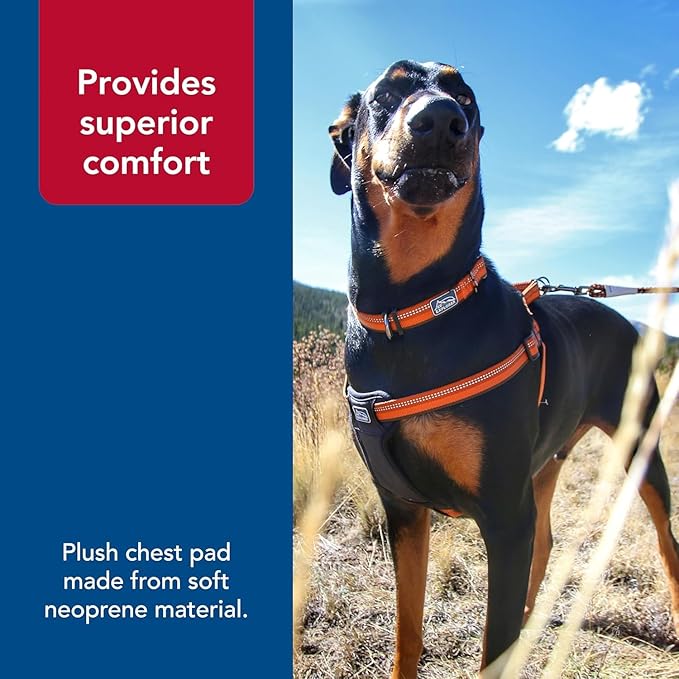 Coastal Pet K9 Explorer Reflective Adjustable Padded Dog Harness - Plush Chest Pad for Comfort - No-Pull Dog Harness for Small and Large Dogs - Campfire Orange - 5/8" x 12"-18", X-Small