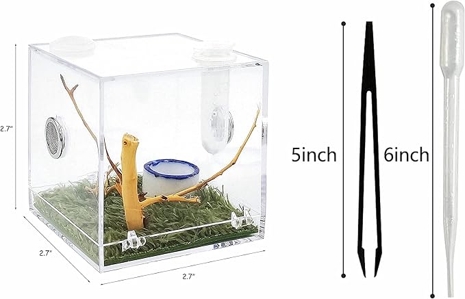 Spider Terrarium, Acrylic Reptile Breeding Box Jumping Spider Enclosure with Dropper Tongs Snail cage, Cricket Enclosure arboreal Tarantula Habitat