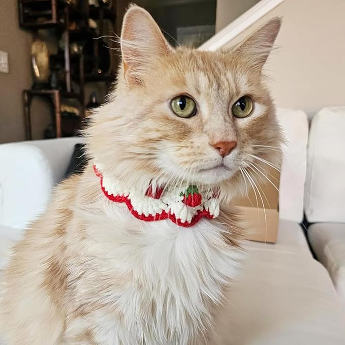 Cat Collar Breakaway, Kitten Collar with Cute Bow Tie Strawberry Pattern Comfortable for Kitty and Small Puppies, Bandana Fits Neck 2-3 Inches (White)