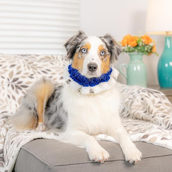 Huxley & Kent Ruff Pet Scrunchy | Hanukkah (Medium) | Festive Christmas/Holiday Neckwear for Dogs/Cats | Fun Stretchable Costume Accessory | Soft Collar with Bells
