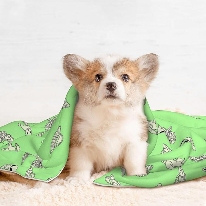 Two Sided Plush Pet Blanket for Crates Carriers Home Use, Aliens Sasquatch Savage Dinosaurs Green, Reversible Throw with Cozy Dot Fabric and Silky Reverse for Small Large Pets