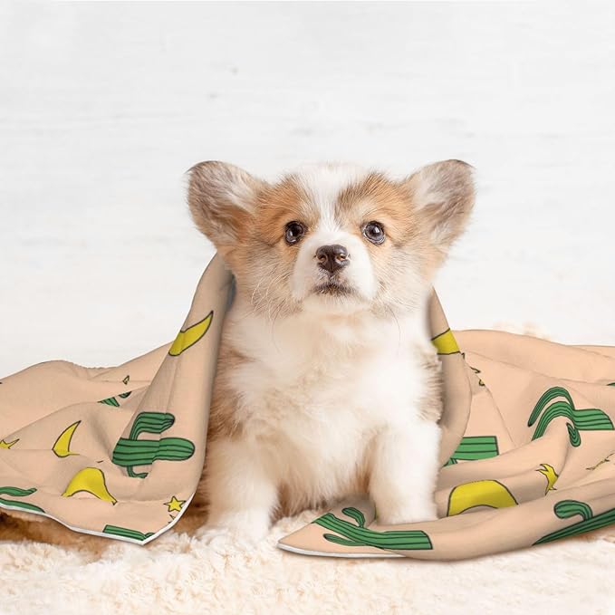 Pet Blanket for Travel and Home, Cactuses Moon, Reversible Plush Dot Design with Soft Grip Texture on One Side Perfect for Car Seats Moving Vehicles