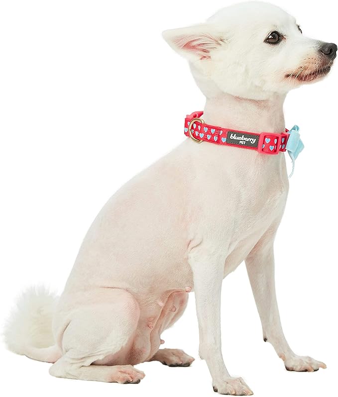 Blueberry Pet Dog Collar with Bowtie, Neck 14.5-20" Adjustable for Medium Dogs, Lust Red Heart Design, Valentines Day Girl Dog Collars, Non-Stretch, Secure Fit, Puppy & Female Dog Accessory