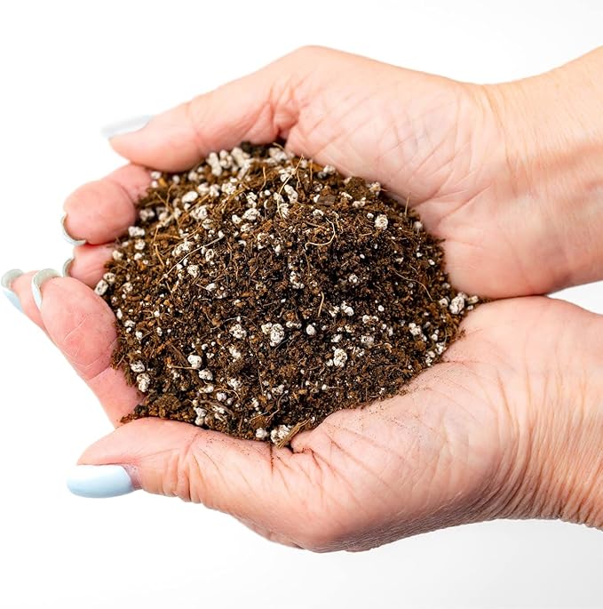 Gardenera Professional Carnivorous Plant Soil - Ready to Use for Venus Flytraps, Sundews, Pitcher Plants, Butterworts | Peat Moss, Coco Coir, Perlite - 2 Quart Bag