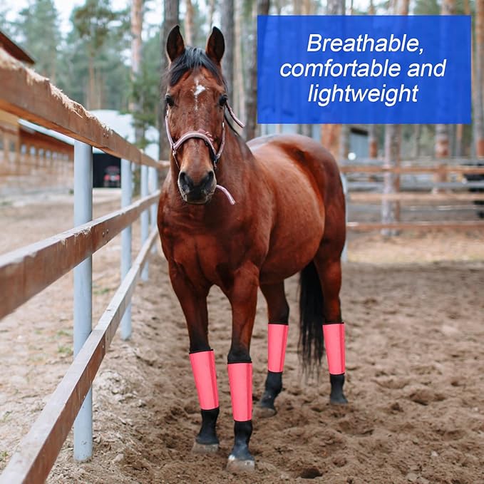 Set of 20 Mesh Fly Boots for Horse Breathable Mesh Horse Boots Protective Horse Leg Wraps Horse Leggings for Preventing Flies and Mosquitoes Bites(Blue, Orange, Pink, Green)