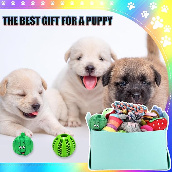 Abbylike 50 Pcs Puppy Supplies Starter Kit for Small Dogs Puppy Essentials Includes Leash, Bowls, Teeth Brushes, Water Bottle, and More Accessories for Dogs Pet Day Welcome Gift(Colorful)