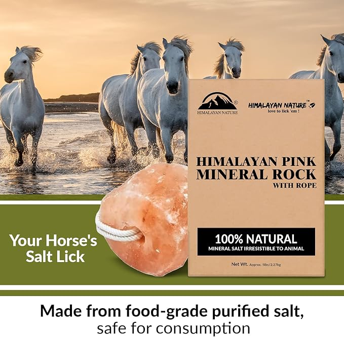 Salt Lick for All Animals – 100% Natural Pure Salt Rock for Horses, Rabbits, Cattle and Livestock – Long Lasting | Pack of 2