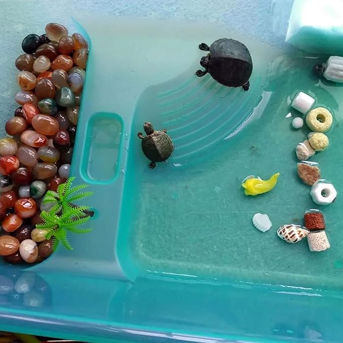 kathson Turtle Tank Aquarium, Turtle Habitat Reptile Plastic Terrarium Safe Durable, Tortoise Tank with Lid Prevent from Climbing Escaping (Small)