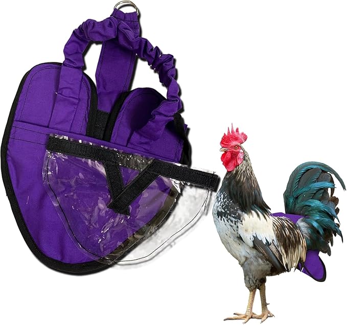Hen Holster Wrap-Around Bird Diaper & Harness for Hens, Roosters, Ducks, Geese - with Removable Vinyl Liner, Adjustable Fit for Outdoor Adventures & Indoor Use - Easy to wear - XL, Purple
