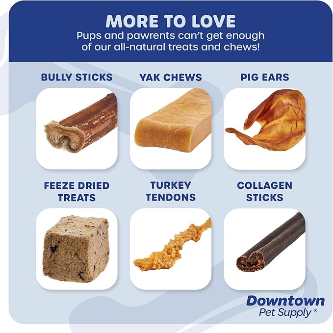 Downtown Pet Supply USA Sourced Bully Sticks for Dogs - Grass-fed Beef Chews, Low-Odor & Rawhide-Free, Long Lasting Dog Treats - Healthy, Safe & Delicious Chews (12" 10 Pack)