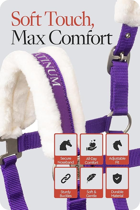 HORZE Howard Soft Fleece Padded Polyester Horse Halter - Quick and Easy-to-Adjust Straps, Brushed Nickel Hardware, and Throat Snap Closure - Purple (Horse)