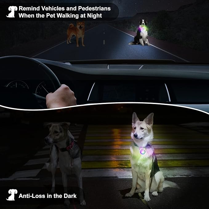 Dog Collar Light, 4 Modes Dog Lights for Night Walking, Rechargeable Pet Collar LED for Nighttime Clip on, IP68 Waterproof Pet Walking Accessories-2 Pack(White)