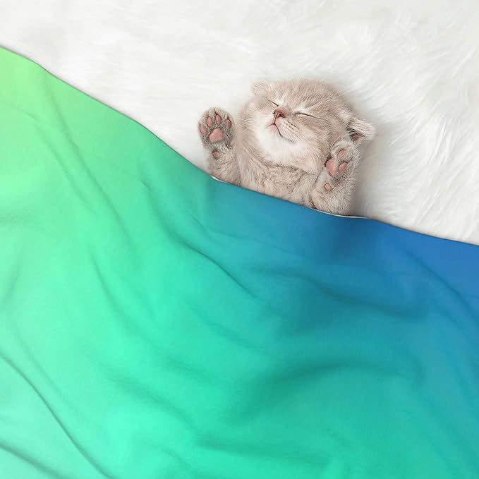 Waterproof Dog Blanket Soft Pet Blanket for Puppy Cat, Fleece Cat Throw Blankets for Furniture Bed Couch Sofa Reversible - Blue Green Colors