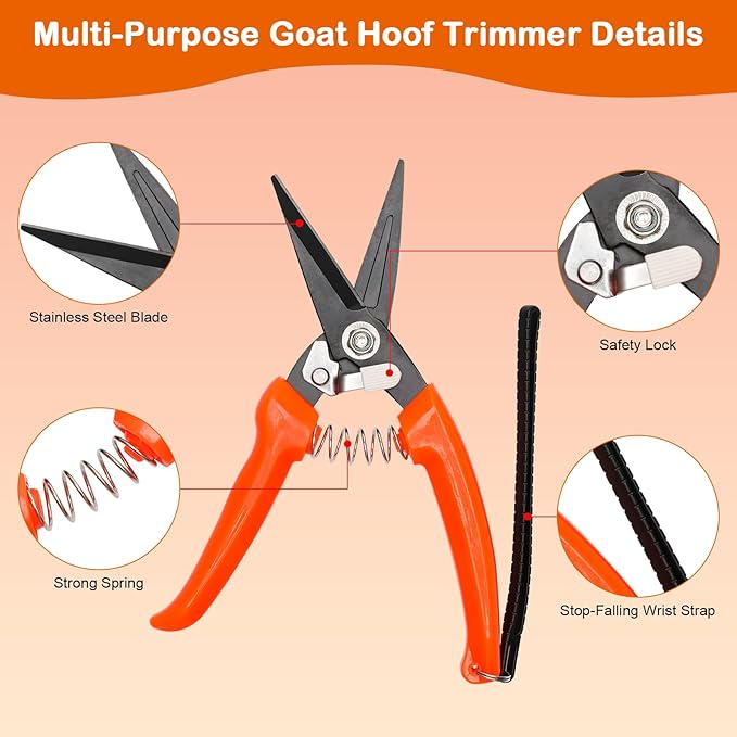 8 inch Farrier Tool Kit, Coldairsoap 3PCS Goat Hoof Trimmers with 1PCS Metal Shears, 1PCS Double-Side Long Handle Rasp, 1PCS Blue Storage Bag, Hoof Rasp File for Goat Sheep, Alpaca, Lamb, Pig