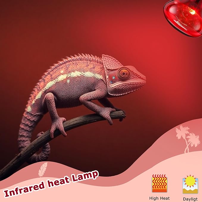 60W Red Infrared Heat Lamp Bulb for Reptiles – Basking Spot Light for Lizards, Bearded Dragons, Snakes & Chicks, Ideal E26 Heater for Terrariums, Chicken Coops & Brooders | 2 Pack