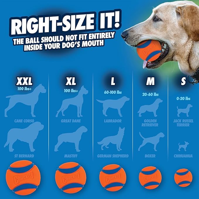 Chuckit! Ultra Ball Dog Toy - Medium Bouncy Fetch Balls for Dogs 20-60 lbs - Made from Durable Rubber - Floating Water Pet Toys - Size Medium - 2.5-inch Diameter,2 Count (Pack of 4)