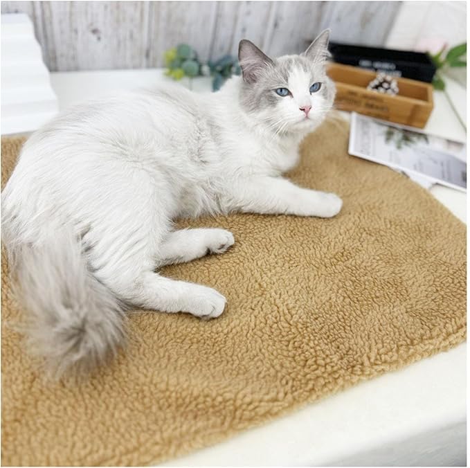 Dog Bed Pad Soft Comfortable Lamb Wool Pet Sleeping Mat Durable Pet Bed Mat for Indoor Use Gift for Dogs Cats Small Medium Large Pets (Brown)