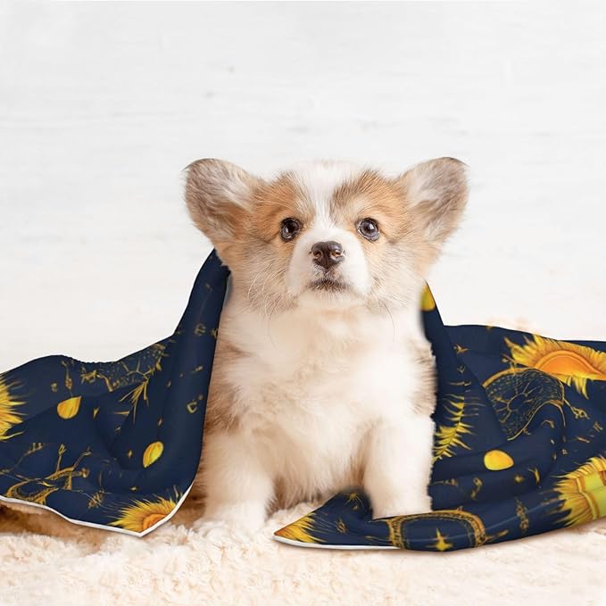 Double Sided Plush Pet Blanket with Cozy Dot Texture and Smooth Reverse, Meet 998 Boho Chic Art Golden Sun Moon And Stars Over Blue Black Sky, Reversible Throw for Dogs Cats on Couches Beds Crates