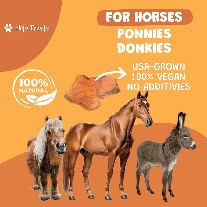 Horse Treats - Sweet Potato & Carrot 16 oz. | All Natural, Dehydrated Treat | Made in The USA for Horses, Ponies, Donkeys | Made with Real Sweet Potato Slices and Carrot Concentrate -16 oz