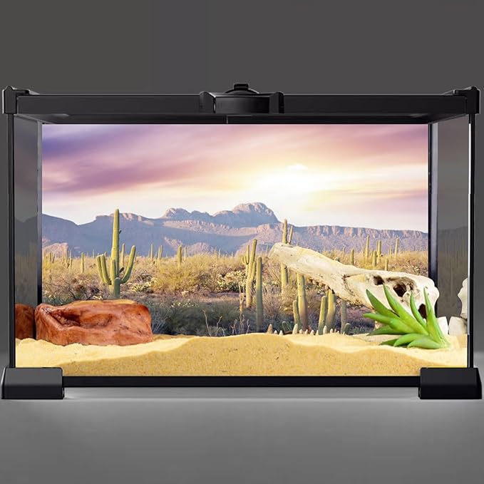 AWERT Reptile Habitat Background Blue Sky Oasis Mountain Cactus Sun and Desert Terrarium Background 48x20 inches