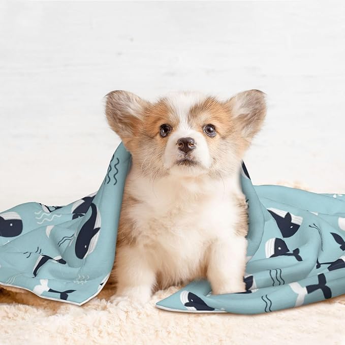 Double Sided Pet Mat for Dog Bed Topper Cat Blanket Furniture Protector, Whale in Ocean Pattern, Reversible Plush with Tactile Dot Pattern for Style Change