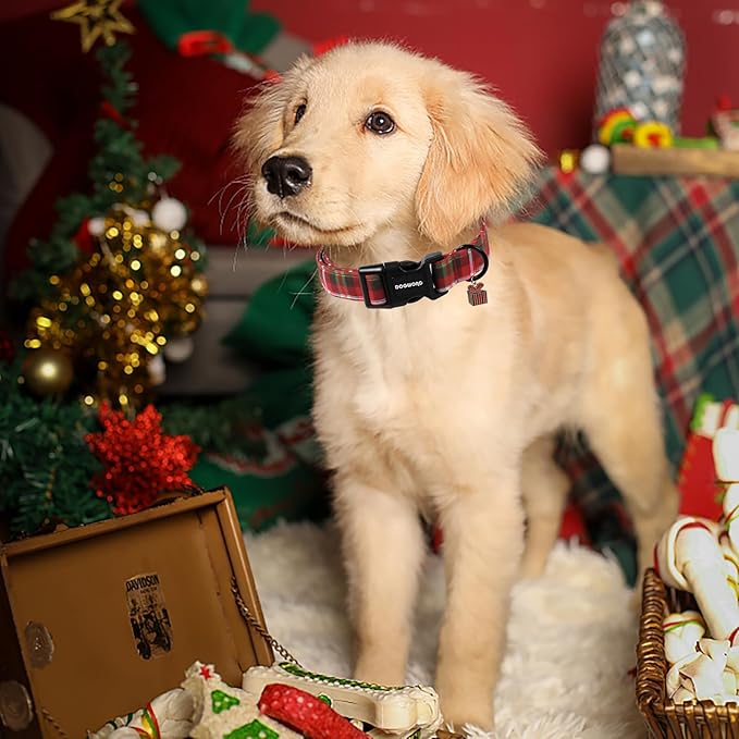 DOGWONG Christmas Plaid Dog Collar, Cute Adjustable Red Collar for Boy and Girl Dogs, Dog Collar with Strong Plastic Buckle for Small Medium Large Dogs,L