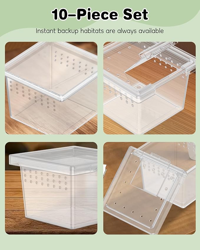 Pawfly 10 Pcs Mini Spider Terrarium Breeding Box, Transparent Plastic Jumping Spider Enclosure Cricket Keeper Tarantula Enclosure, Small Reptile Hatching Container for Scorpion Centipede Gecko Mantis