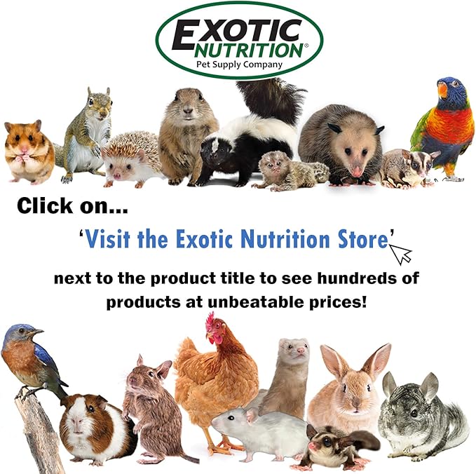 ZooPro Pet Travel Cage - Durable Metal Small Pet Carrier - for Sugar Gliders, Hedgehogs, Squirrels, Guinea Pigs, Hamsters, Rats, Parrots, Finches, Parakeets, & Other Small Mammals and Birds